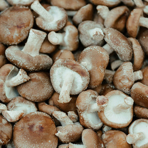 Shiitake Pilze - 200 g